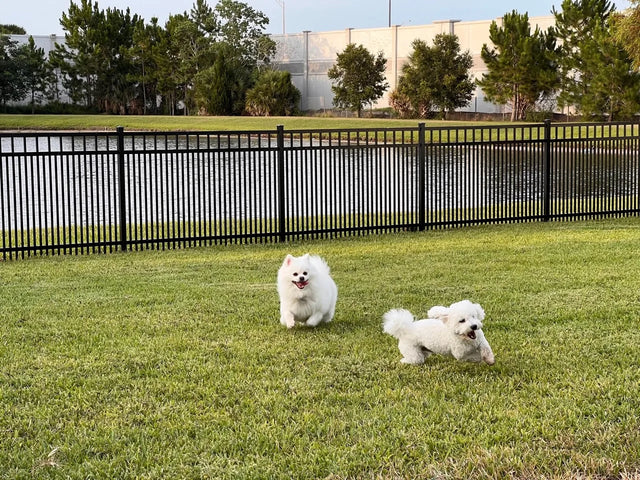 City Fence